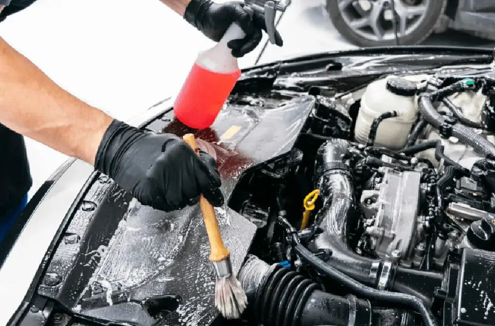 Lavagem técnica do motor
